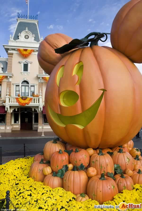 Pumpkin Mickey